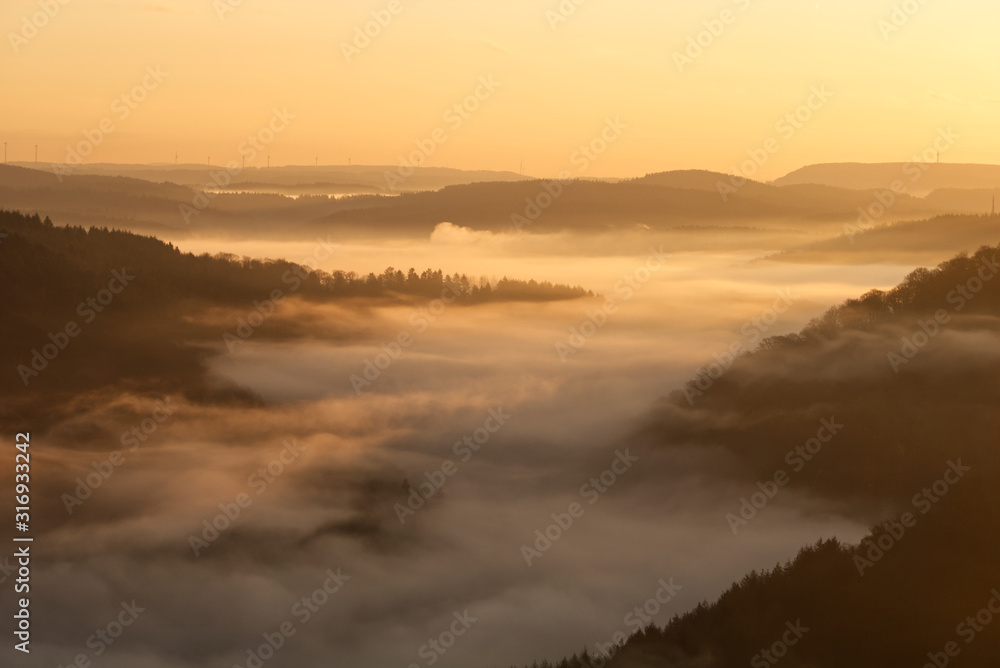 Foggy Sunrise Forest