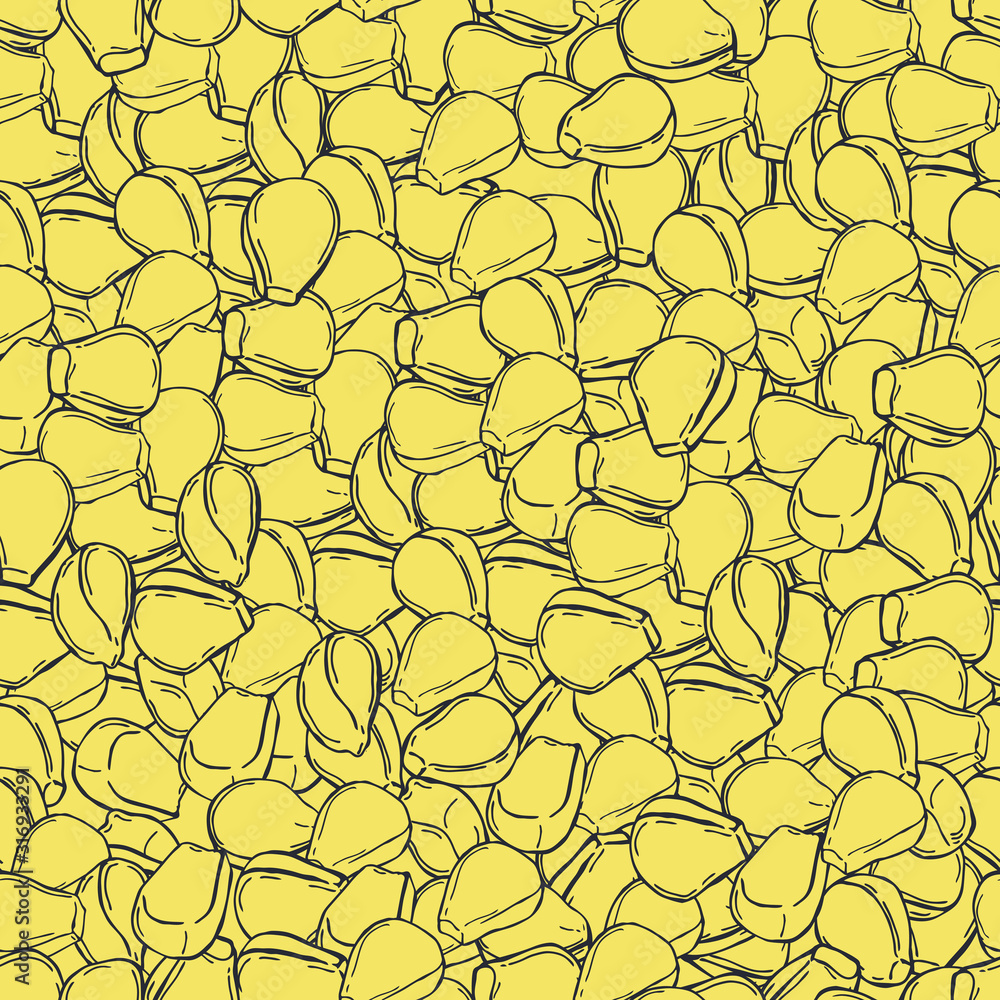 Hand drawn corn seeds. Vector seamless pattern. Hand drawn corn seeds. Vector seamless pattern.