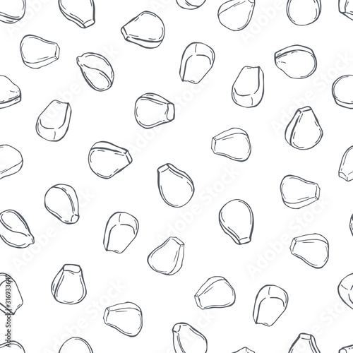 Hand drawn  corn seeds. Vector  seamless pattern.
