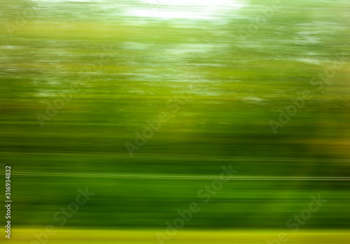 Trees in motion as an abstract background.