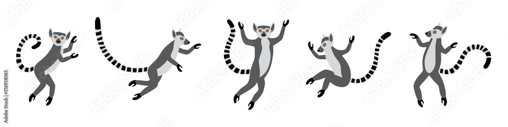 Cute funny ring-tailed lemurs jumps. Exotic Lemur catta. Set of vector illustrations in cartoon and flat style isolated on white background - obrazy, fototapety, plakaty 