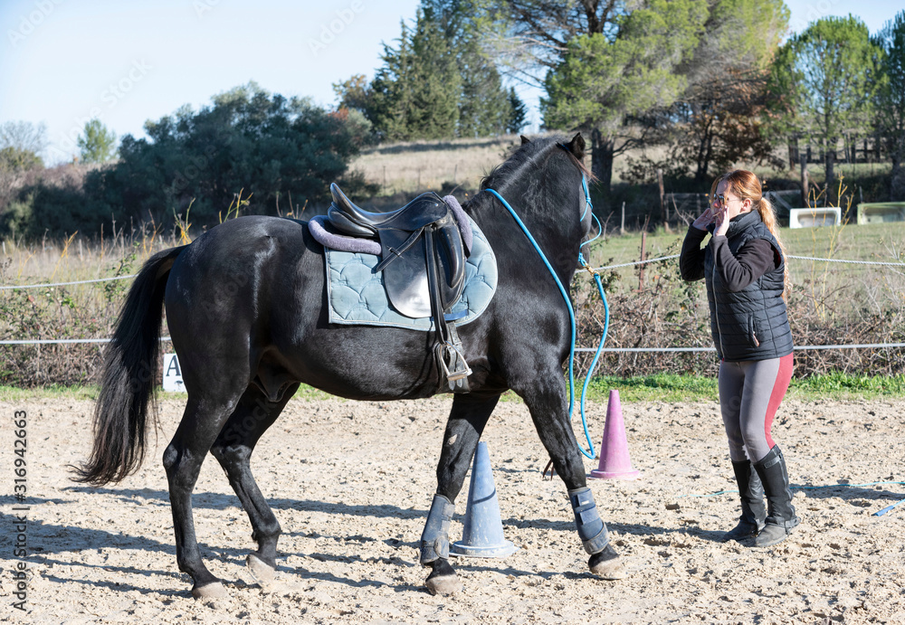 riding girl and horse riding girl and horse