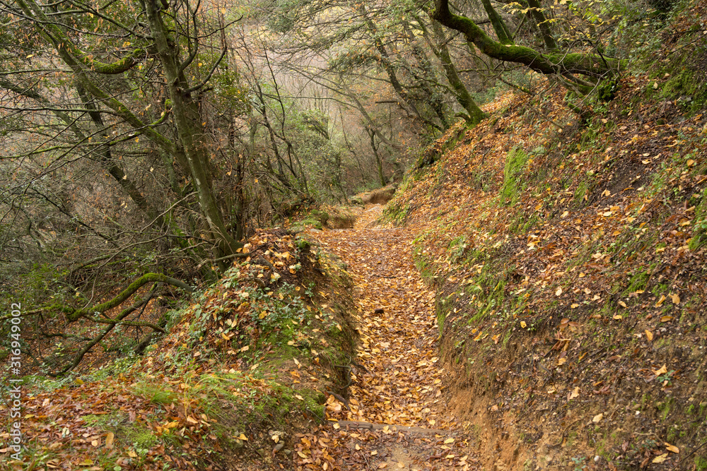 Meteora, Greece - Dec 19, 2019: Hiking path at Meteora,Greece Meteora, Greece - Dec 19, 2019: Hiking path at Meteora,Greece