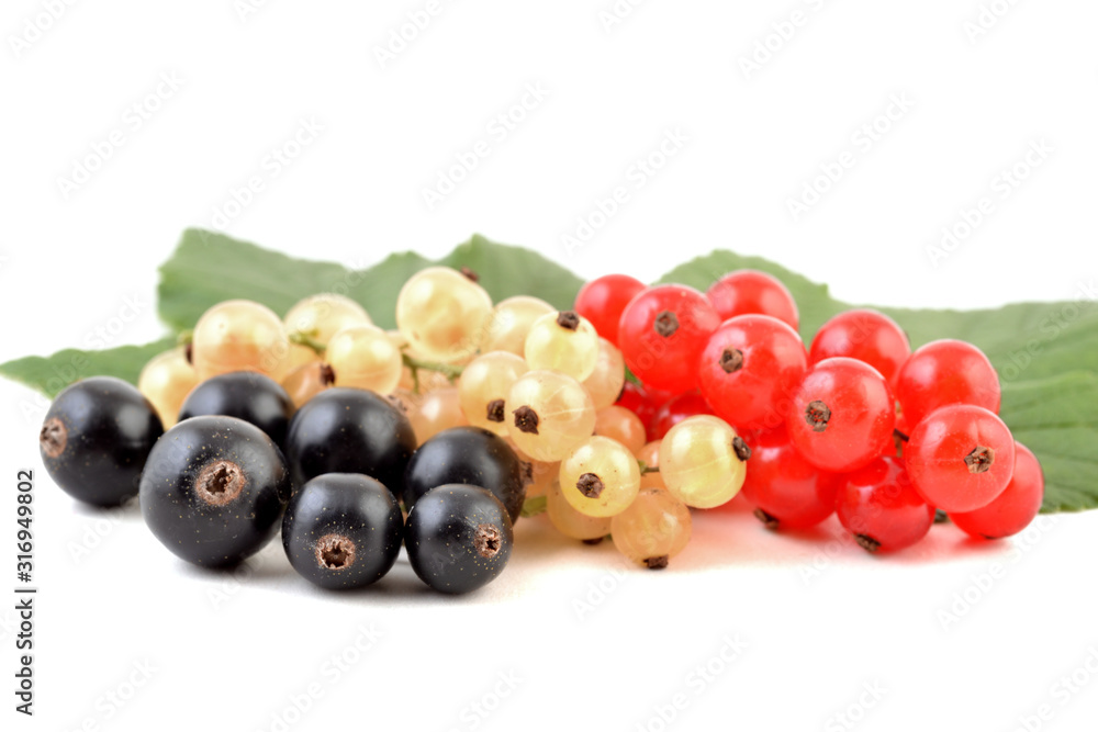 Currant, black, red and white berries of currants isolated on white background. Currant, black, red and white berries of currants isolated on white background.