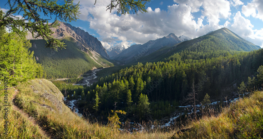 Deep gorge, green forests and beautiful sky. Mountain taiga in summer, Altai