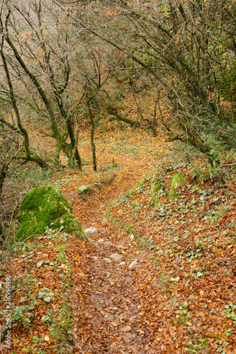 Meteora  Greece - Dec 19  2019  Hiking path at Meteora Greece