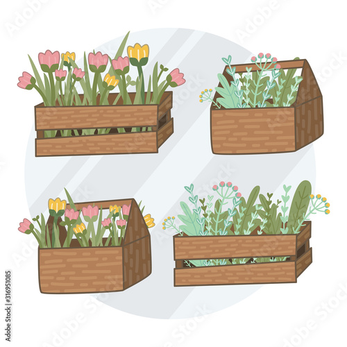 garden flowers and herbs in boxes