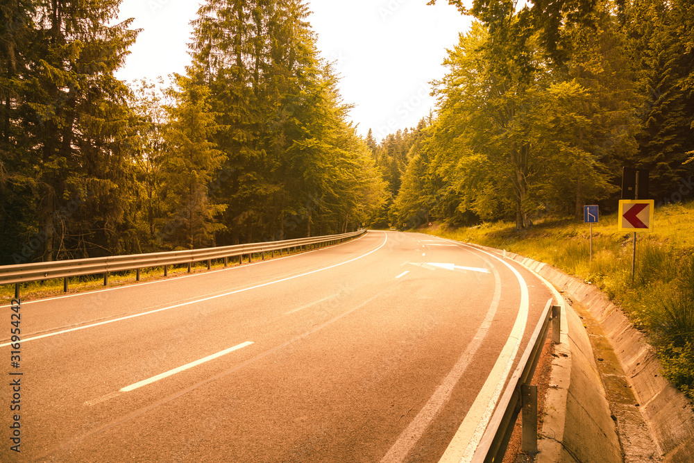 Fototapeta premium Asphalt road passing through the forest