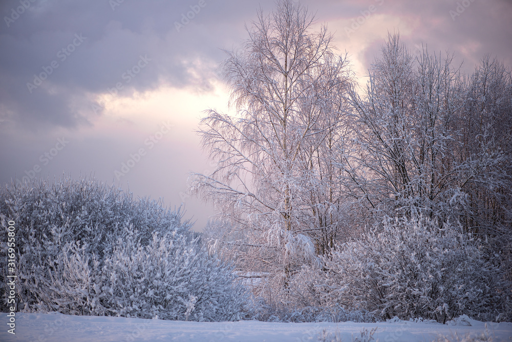 Winter cold morning landscape of nature Krimulda,Latvia Winter cold morning landscape of nature Krimulda,Latvia