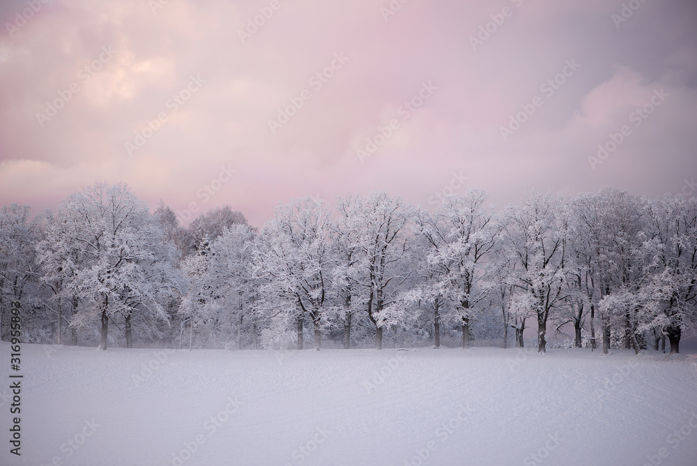 Winter cold morning landscape of nature Krimulda,Latvia Winter cold morning landscape of nature Krimulda,Latvia