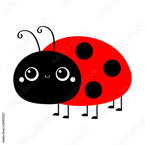 Ladybug Ladybird icon. Cute cartoon kawaii smiling baby animal character. Funny insect. Flat design. Isolated. White background.