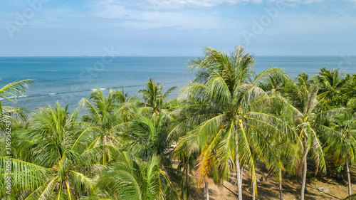 Aerial drone view of tropical beach from above  sea  sand and palm trees island beach landscape  Thailand