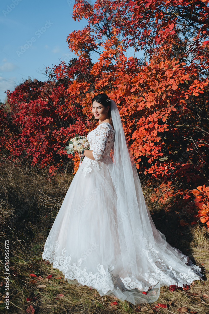 Beautiful brunette bride in a white dress with a bouquet stands on a background of red bushes and autumn nature. Wedding portrait of a cute wife. Photography, concept.