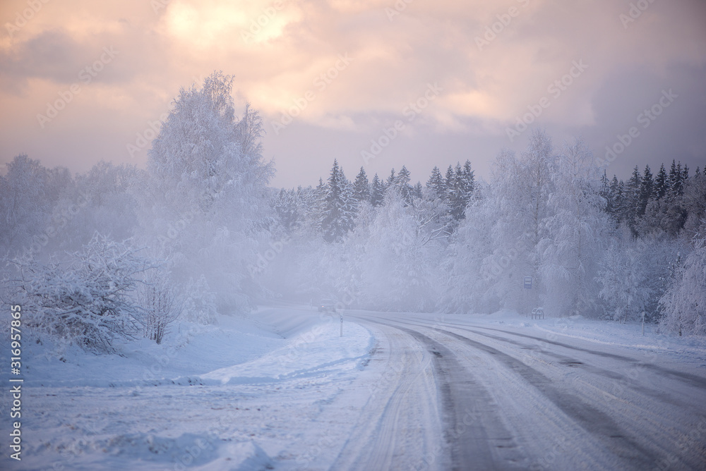 Winter cold morning landscape of nature Krimulda,Latvia