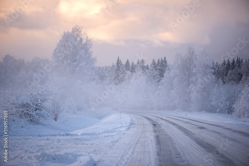 Winter cold morning landscape of nature Krimulda,Latvia © Zelma