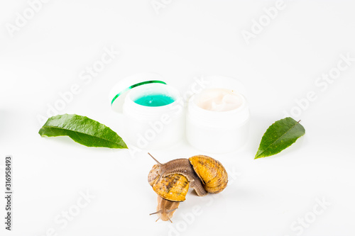 Cosmetics made with snail slime. Very healthy and organic products