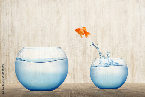 Foto Goldfish jumping out into a bigger fishbowl