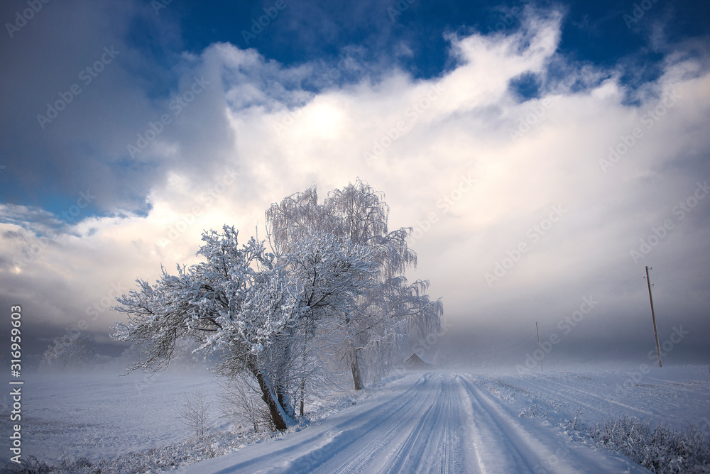 Fototapeta premium Winter cold morning landscape of nature Krimulda,Latvia
