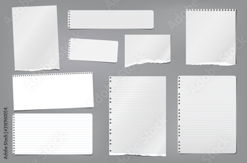 Torn white blank and lined note, notebook paper strips, pieces and sheeds stuck on dark grey background. Vector illustration