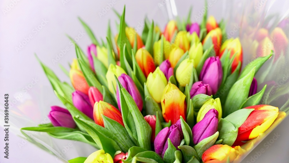 Colorful tulip flower bouqet close up. Colorful tulip flower bouqet close up.