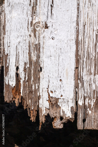  old wooden door texture