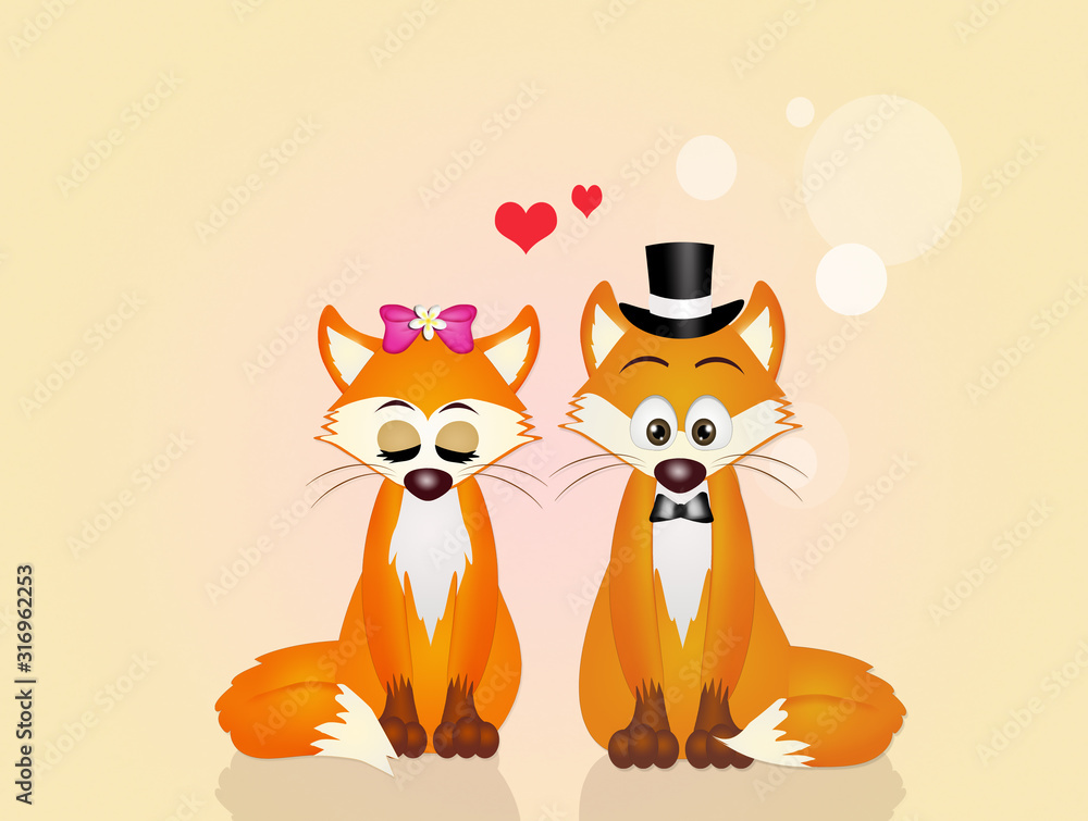 red foxes in love