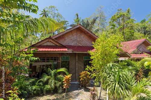 Beautiful jungle forest cabins in the Tangkoko nature reserve on the island of North Sulawesi  Indonesia