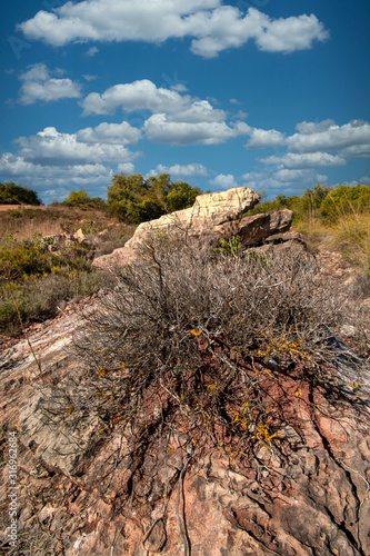 landscape of Sao Bras de Alportel photo