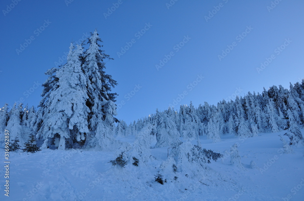 Fototapeta premium Landschaften am Ötscher