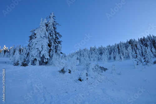 Landschaften am Ötscher © Jutta Adam