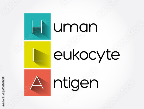 HLA - Human Leukocyte Antigen acronym, medical concept background
