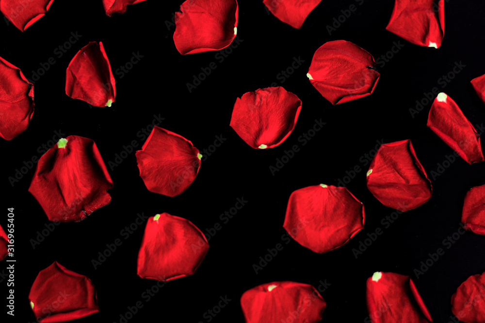 Fototapeta premium red rose petals on a black background