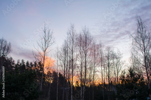 Beautiful blue sky over a dark forest © Андрей Гой
