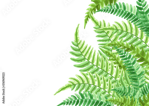 Background with fern leaves.