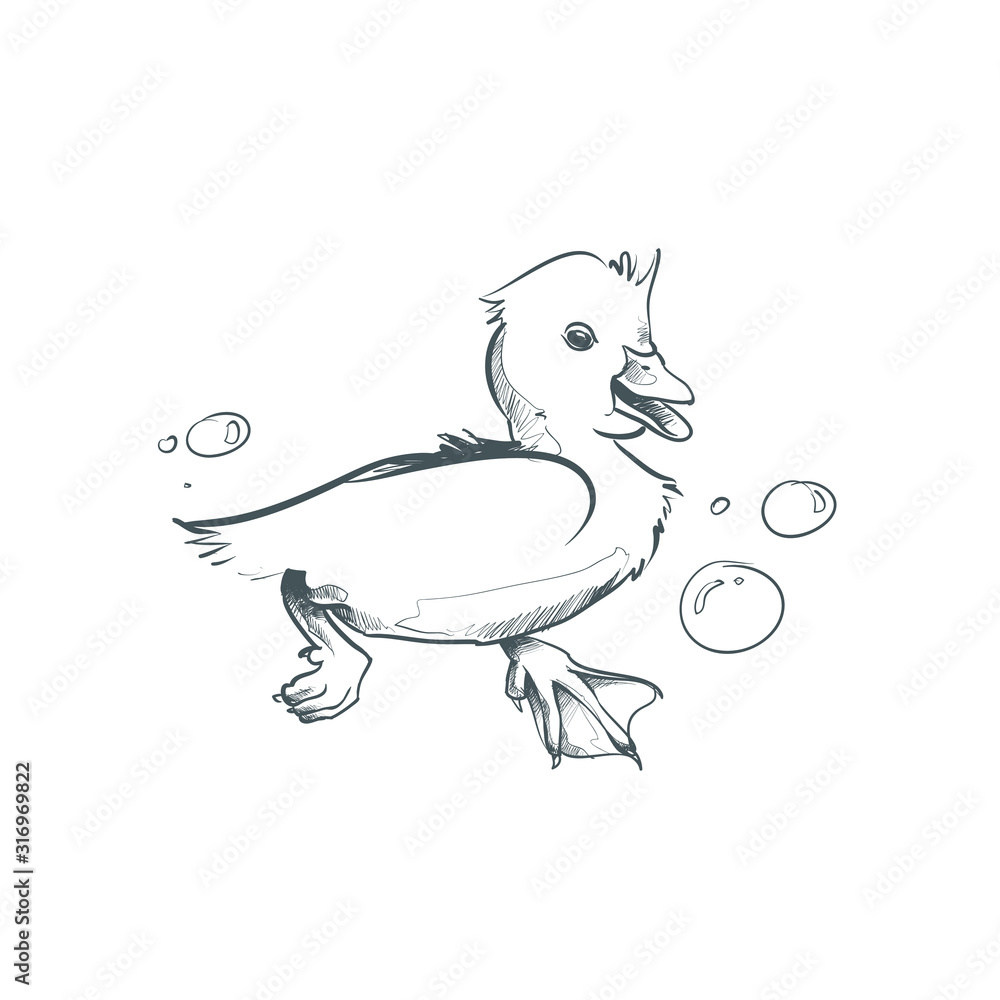 Duck logo bird animal nature wildlife water lake cartoon mascot  illustrative swim toy hunting outdoor doodle drawing sketch painting art  Stock Vector | Adobe Stock