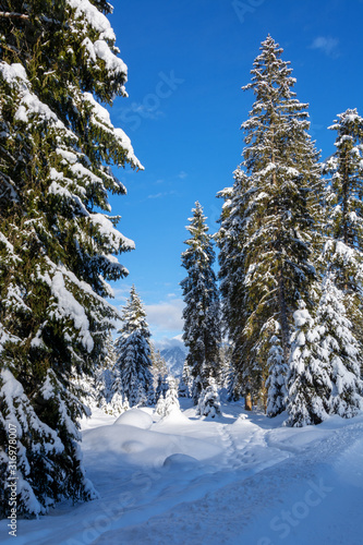 winter landschaft in den österreichischen alpen