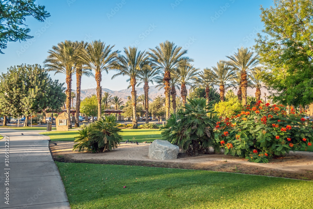 Gardens and Palms