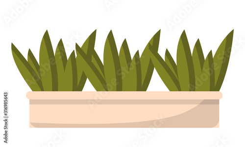 Coffeehouse green plant sign in wooden pot on white. Creative idea with leaves natural decor symbol for restaurant or cafe. Exterior or interior floral element for cafeteria decoration vector