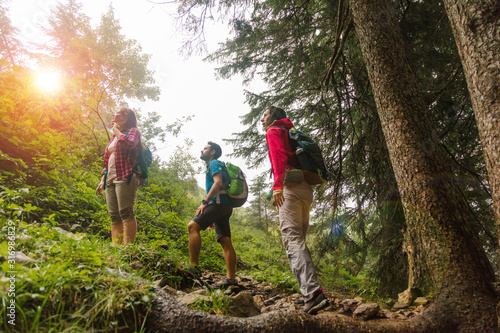 Gruppe von Wanderern, die in den Bergen wandern.  photo