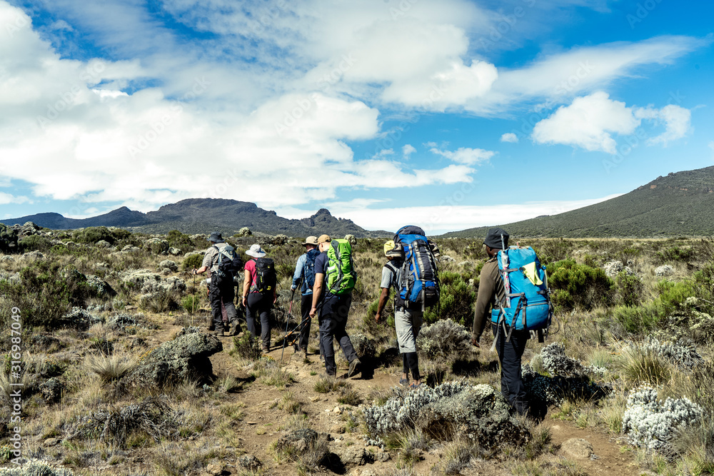 Trekking am Kilimandscharo, Tansania / Aufstieg über die Lemosho Route, Shira-Plateau