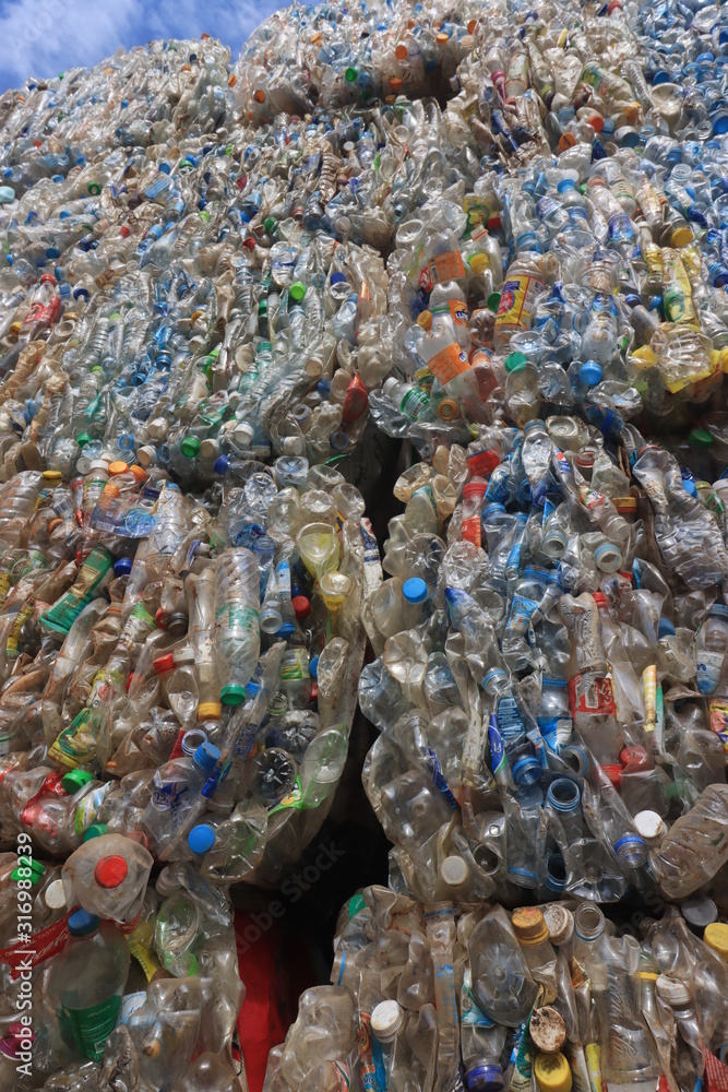 Plastic bottles collected and sorted for recycling	