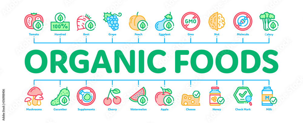 Fototapeta premium Organic Eco Foods Minimal Infographic Web Banner Vector. Organic Tomato And Mushrooms, Peach And Grape, Apple And Cherry Concept Illustrations