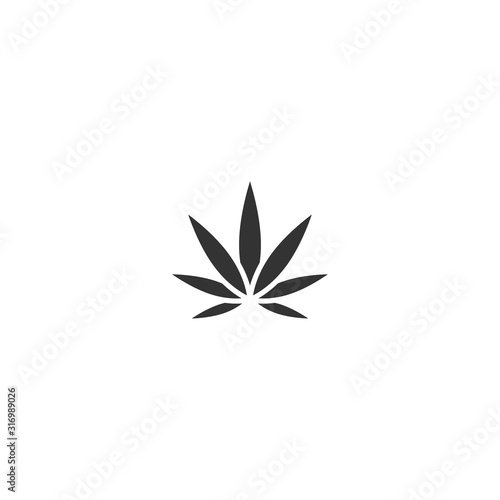 black hemp or cannabis leaf isolated on white. CBD, Cannabidiol