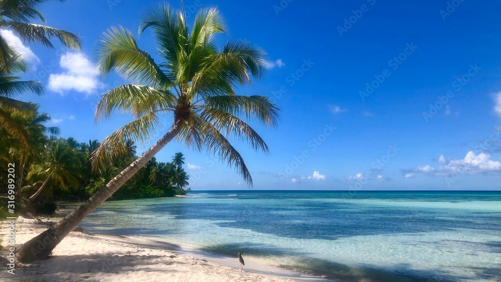 Obraz premium Isla Saona