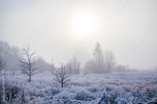 A beautiful winter scenery in the European countryside. First snow landscape. Bright morning.