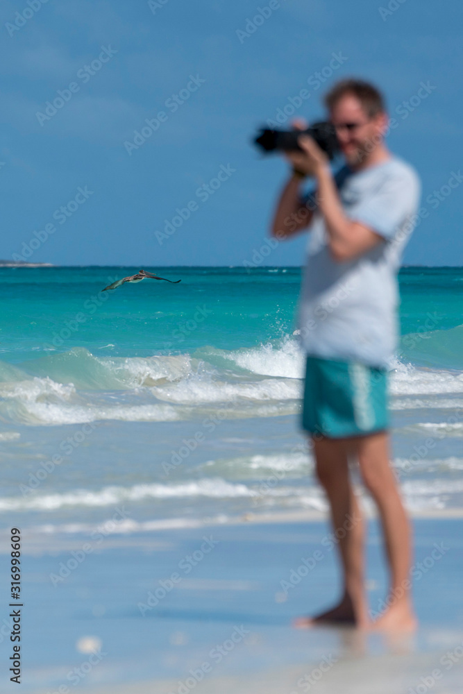 beautiful pelican flying over the cuban sea in varadero beach on a sunny day with a photographer on the right beautiful pelican flying over the cuban sea in varadero beach on a sunny day with a photographer on the right