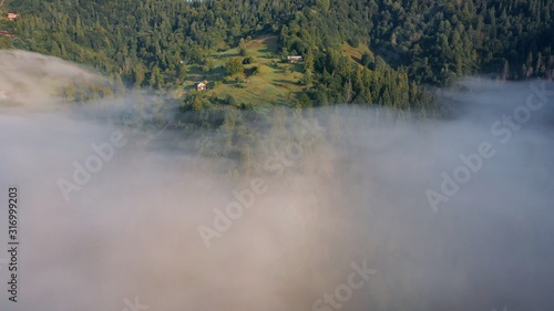 Top view of colorful mixed forest shrouded in morning fog on a beautiful autumn day