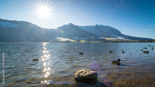 Die Sonne scheint über See und Berge - Walchsee im Winter