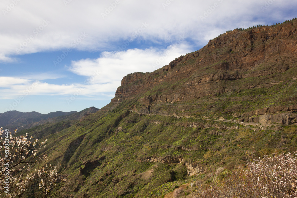Artenara road on hillside of green landscape in Gran Canaria, Spain. Canyon valley natural environment in Canary Islands