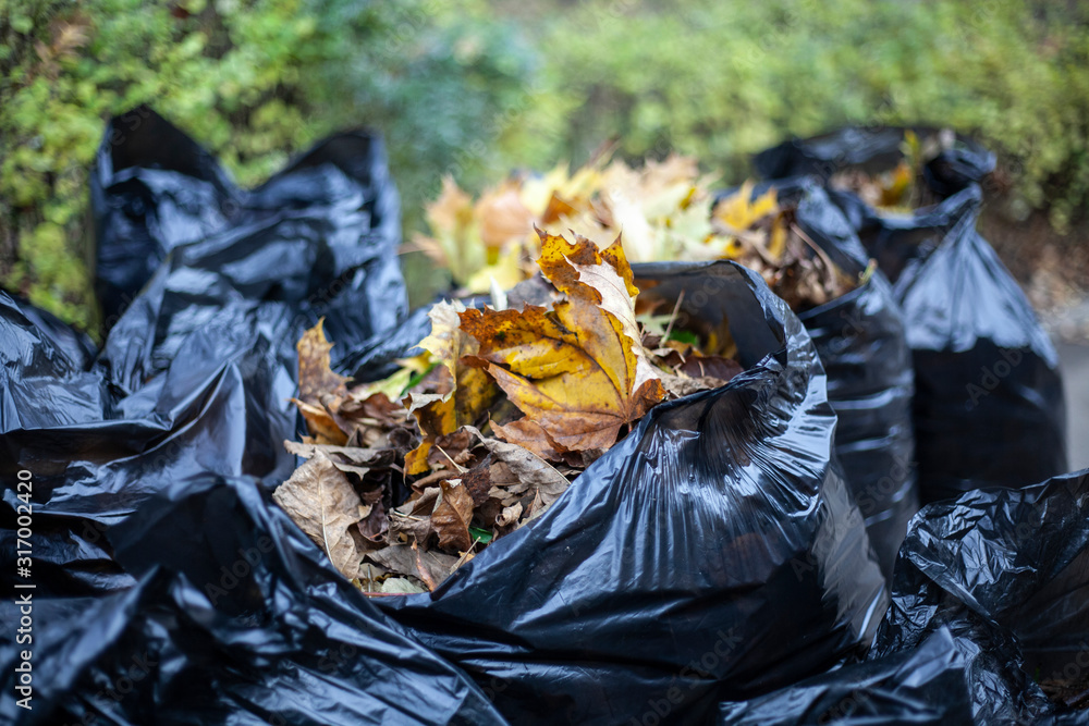 Harvesting dry leaves. Restoring order on the street. Fallen leaves are collected in a pile. Gardener work rake. Improvement in the city. Dry leaves form a layer on the ground. Harvesting dry leaves. Restoring order on the street. Fallen leaves are collected in a pile. Gardener work rake. Improvement in the city. Dry leaves form a layer on the ground.